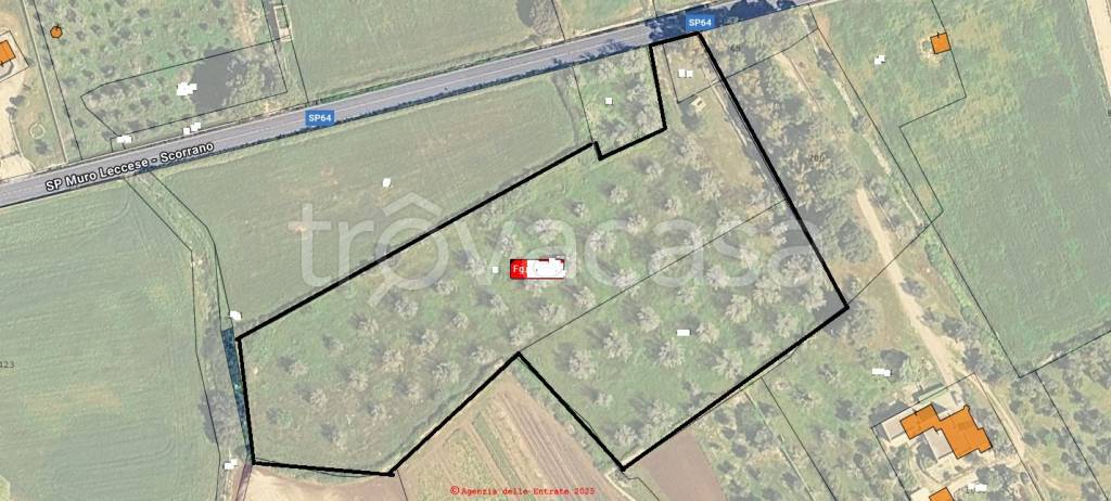 immagine annuncio 12 di 13