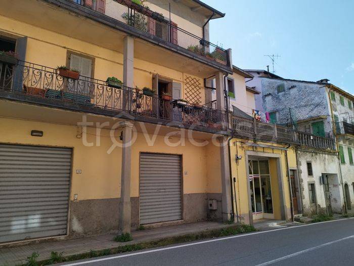 immagine annuncio 2 di 3