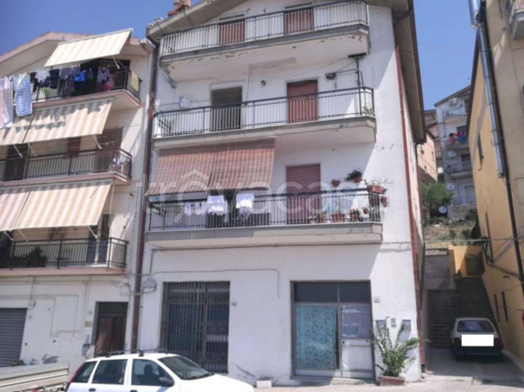 immagine annuncio 3 di 11