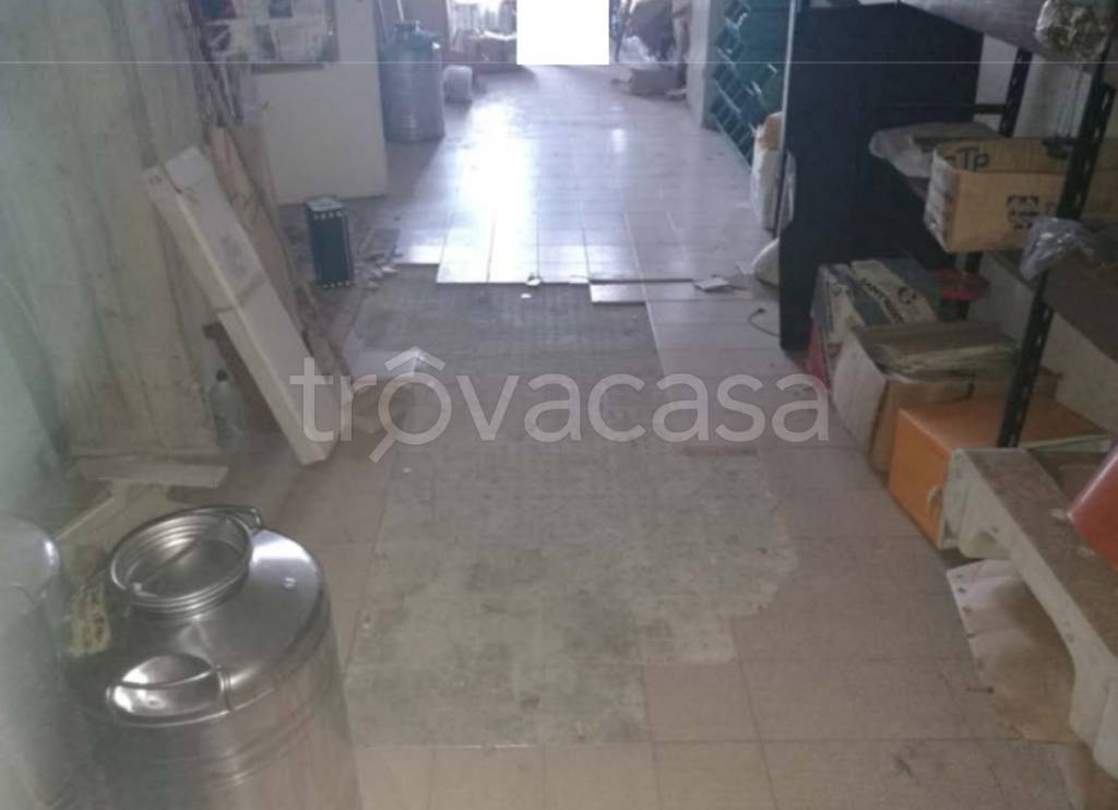 immagine annuncio 4 di 11