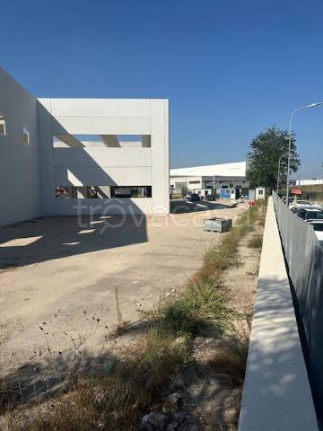 immagine annuncio 9 di 11