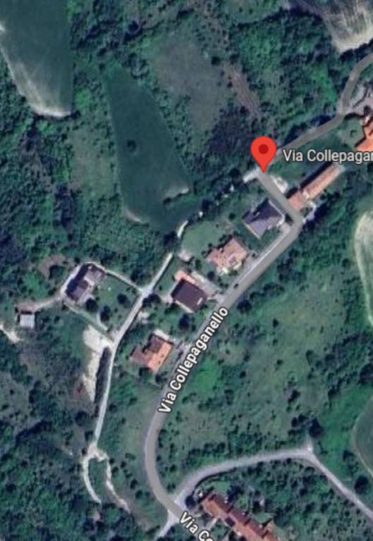 immagine annuncio 5 di 11