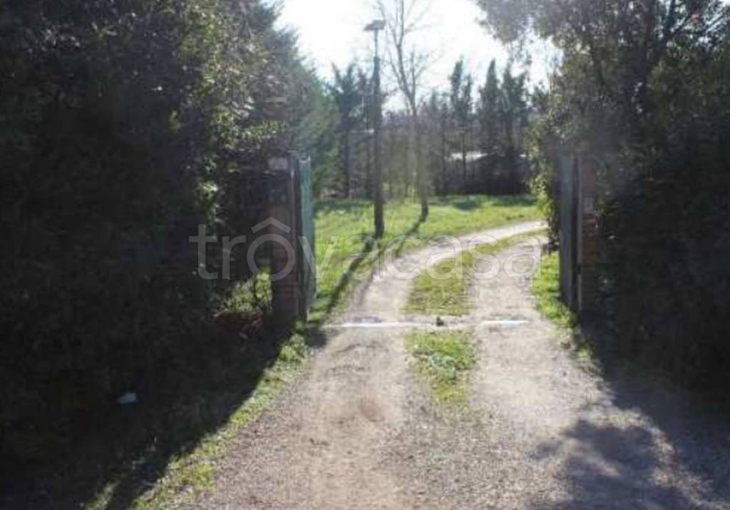 immagine annuncio 6 di 13