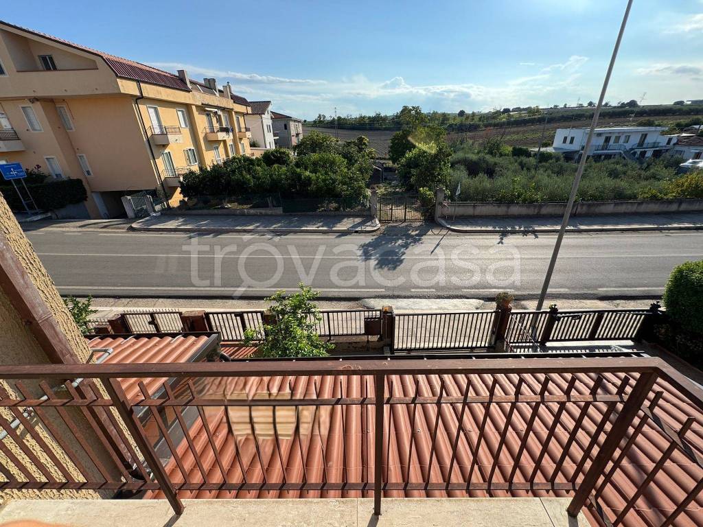 immagine annuncio 6 di 7