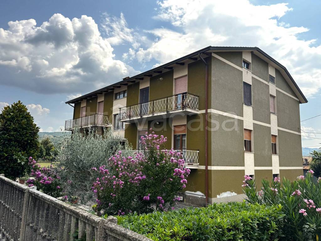 immagine annuncio 1 di 13