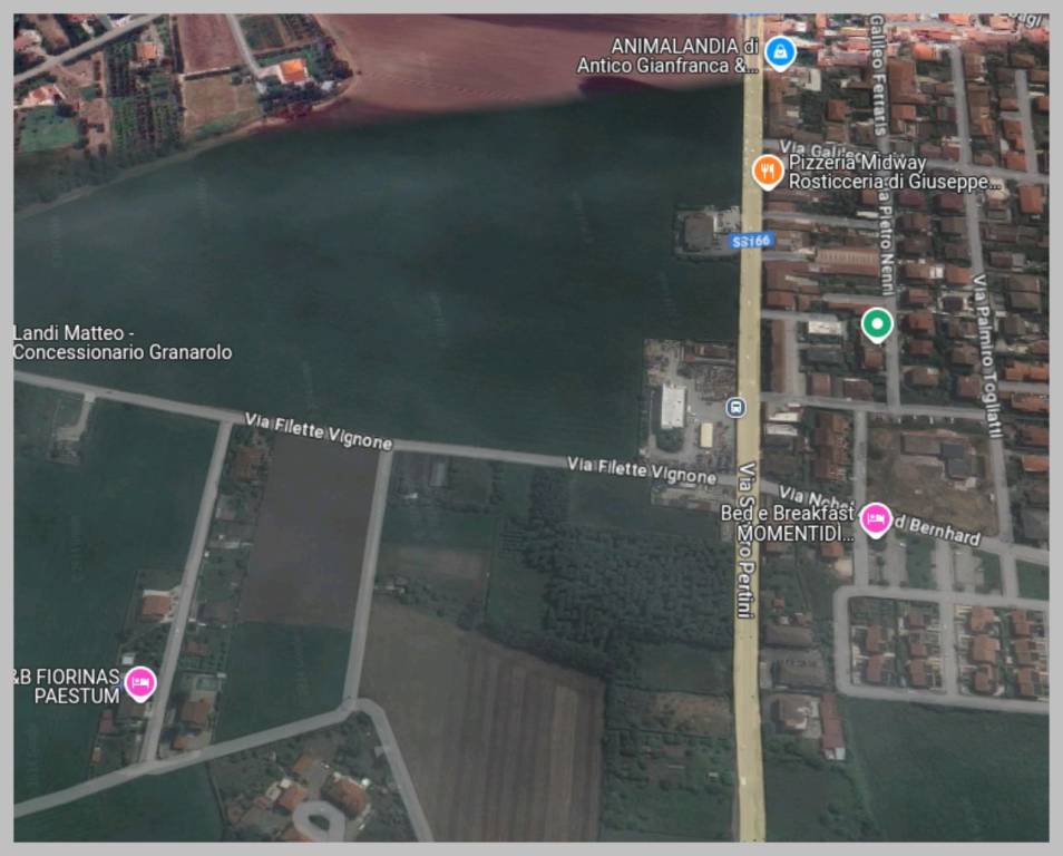 immagine annuncio 11 di 15