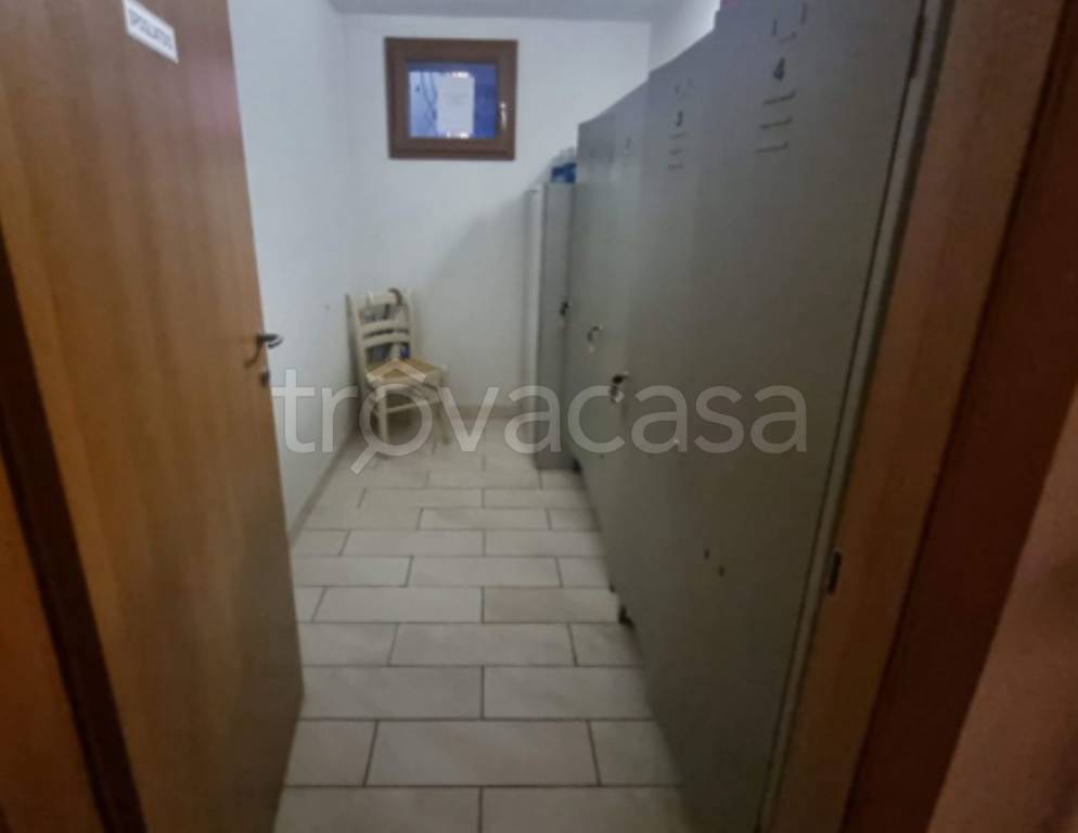immagine annuncio 12 di 14