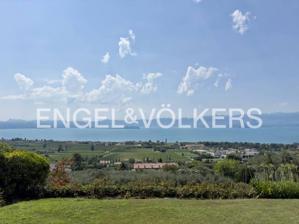 immagine annuncio 12 di 14