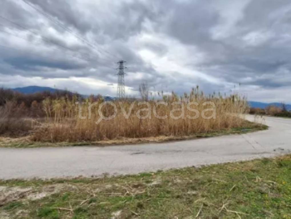 immagine annuncio 6 di 11