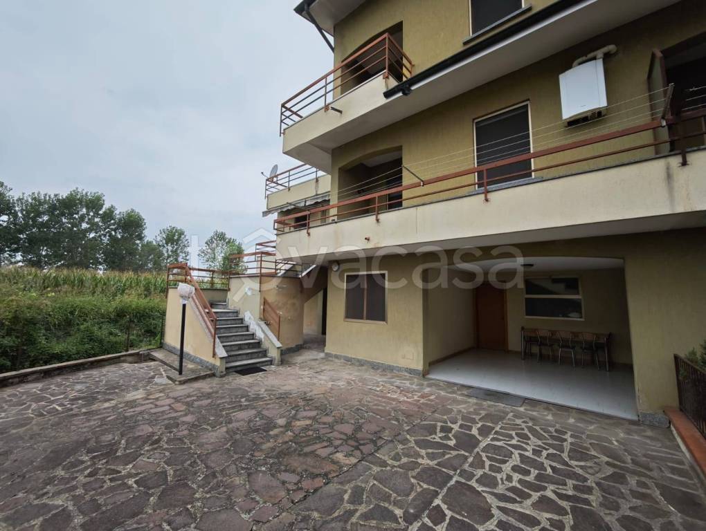 immagine annuncio 3 di 14