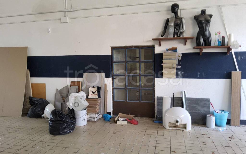 immagine annuncio 5 di 11