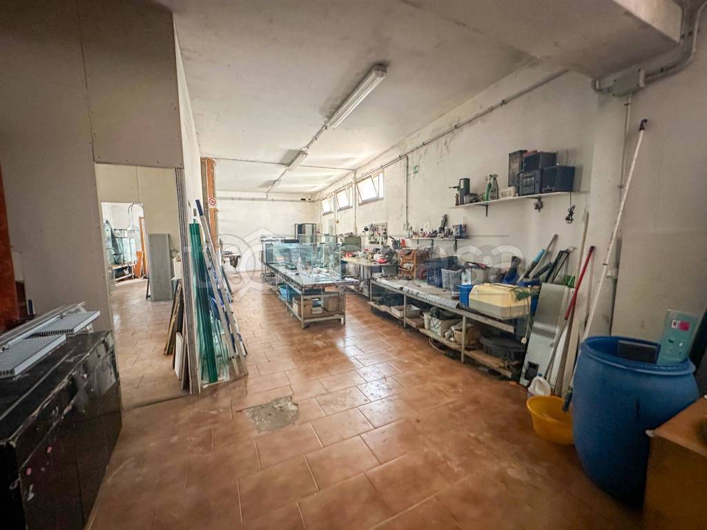immagine annuncio 9 di 13