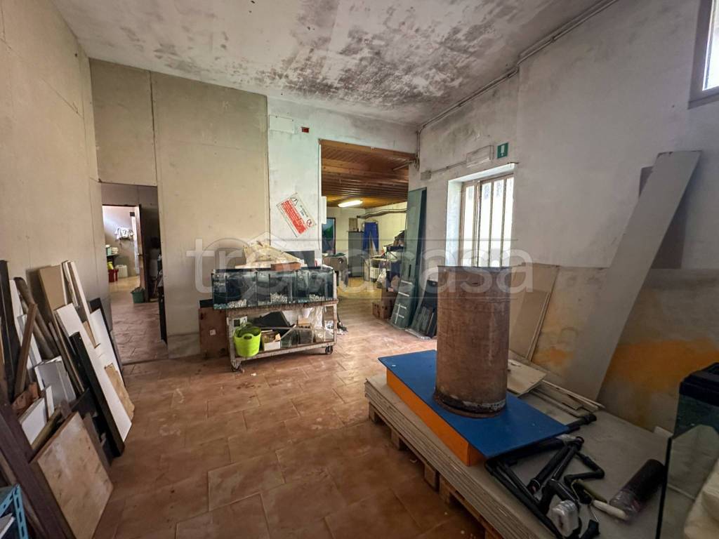immagine annuncio 11 di 13