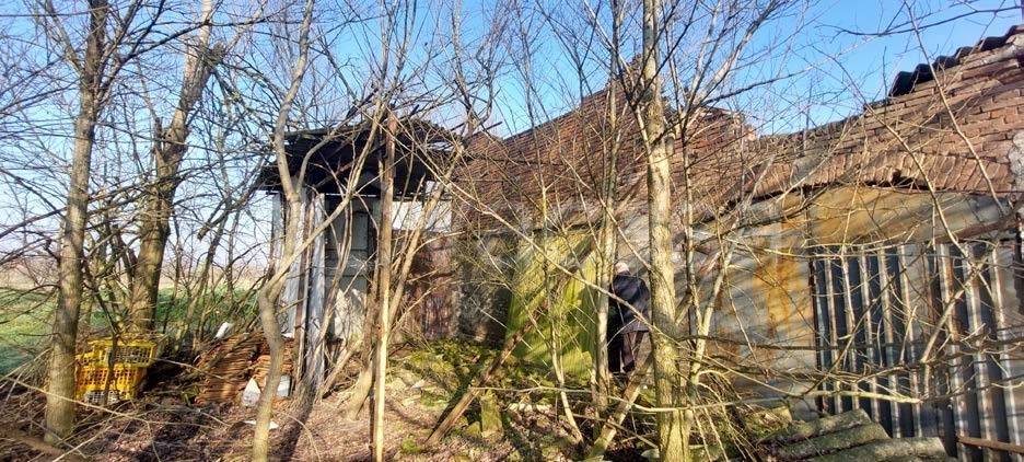 immagine annuncio 1 di 12