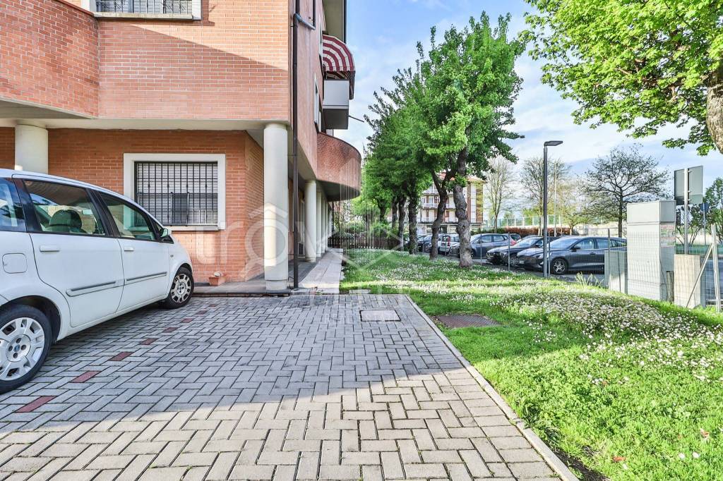 immagine annuncio 3 di 15