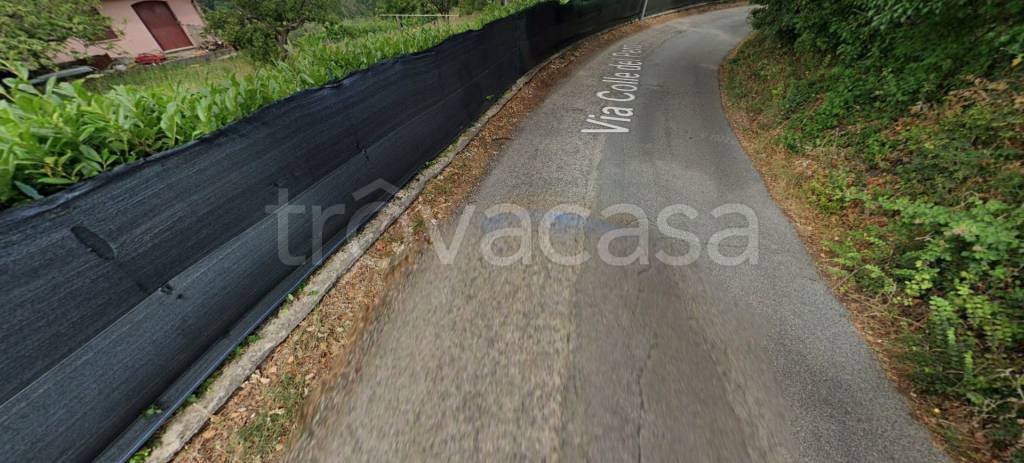 immagine annuncio 10 di 11