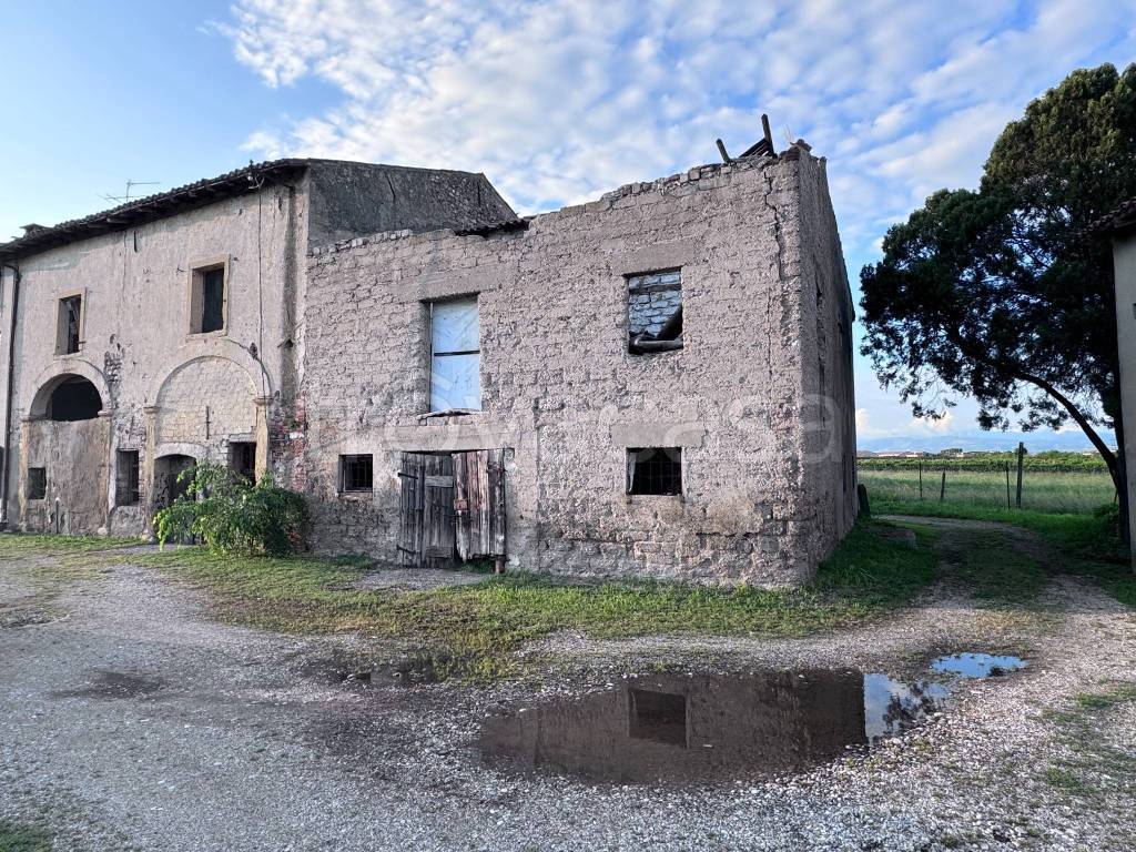 immagine annuncio 3 di 12
