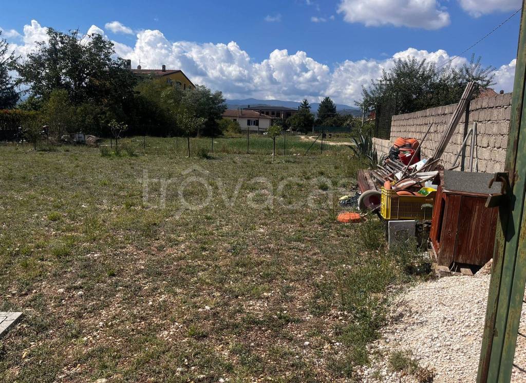 immagine annuncio 3 di 14
