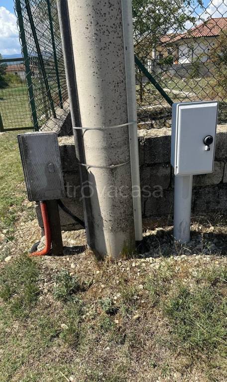 immagine annuncio 12 di 14