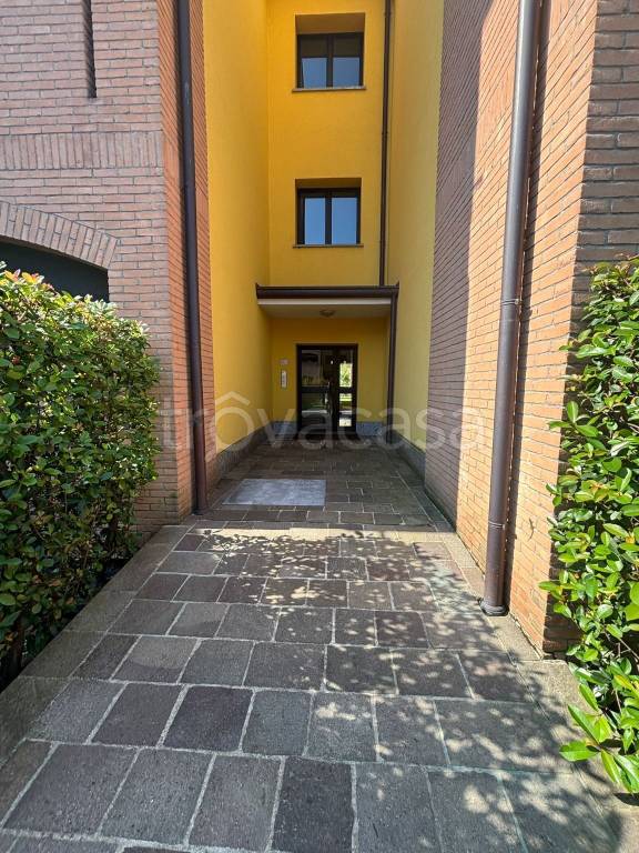 immagine annuncio 12 di 14