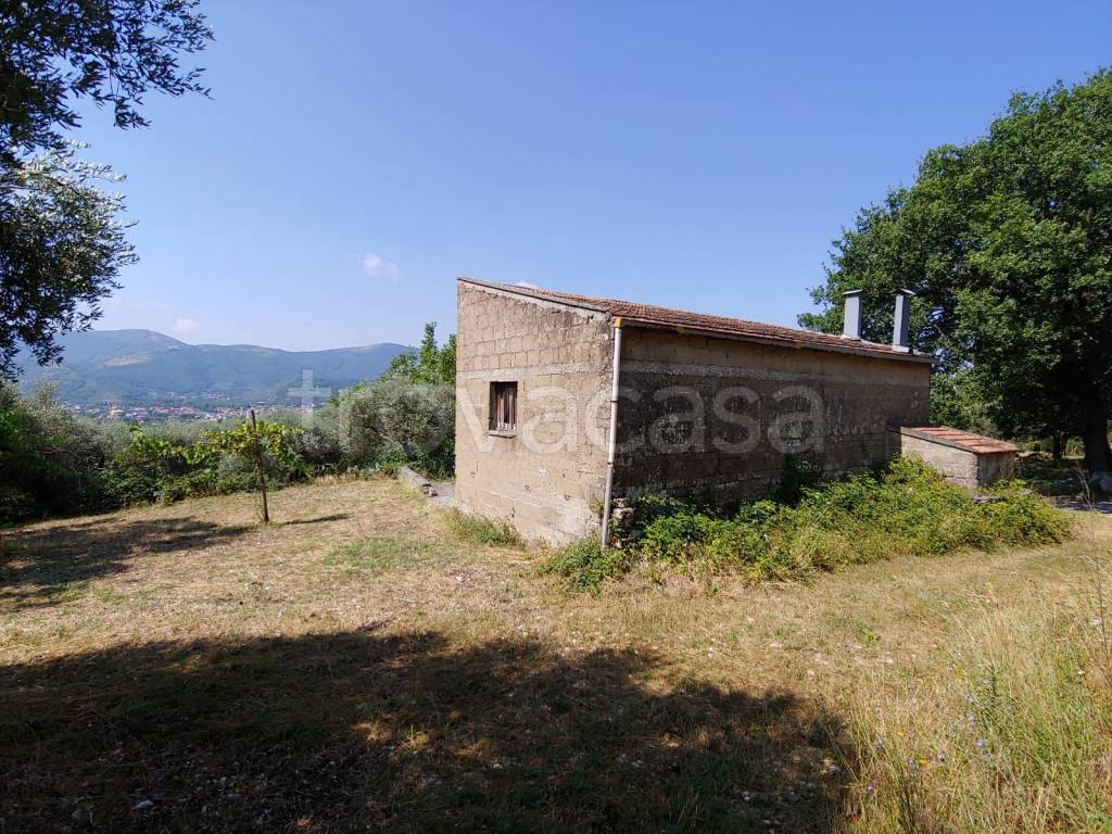 immagine annuncio 1 di 9
