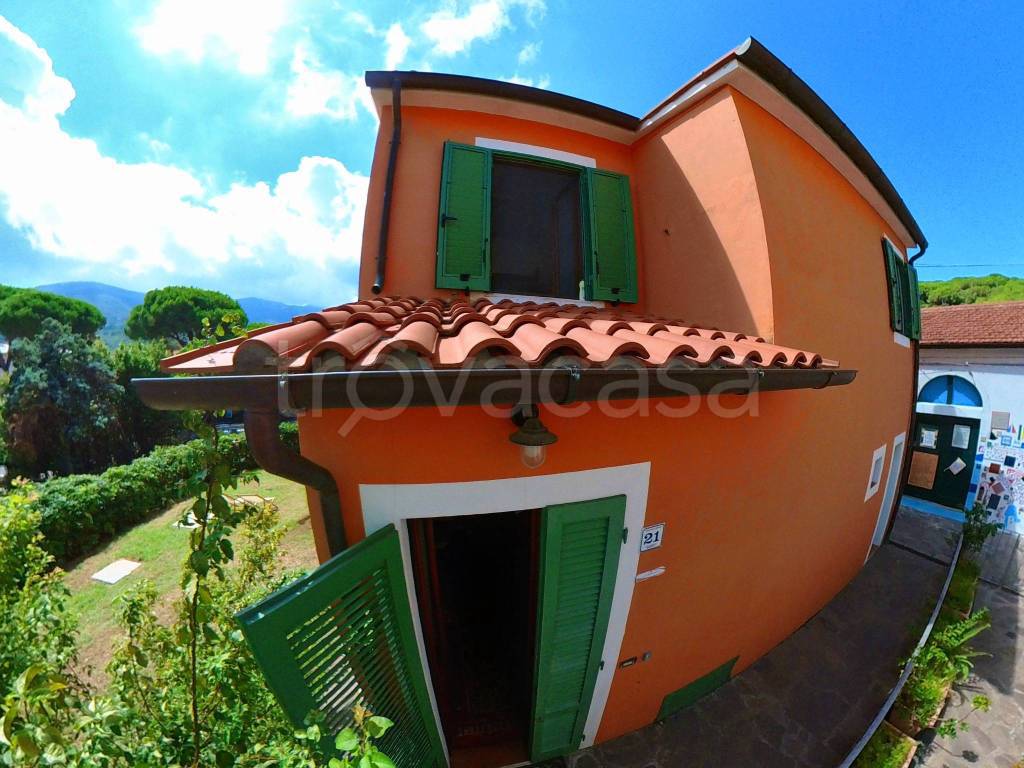 immagine annuncio 9 di 15