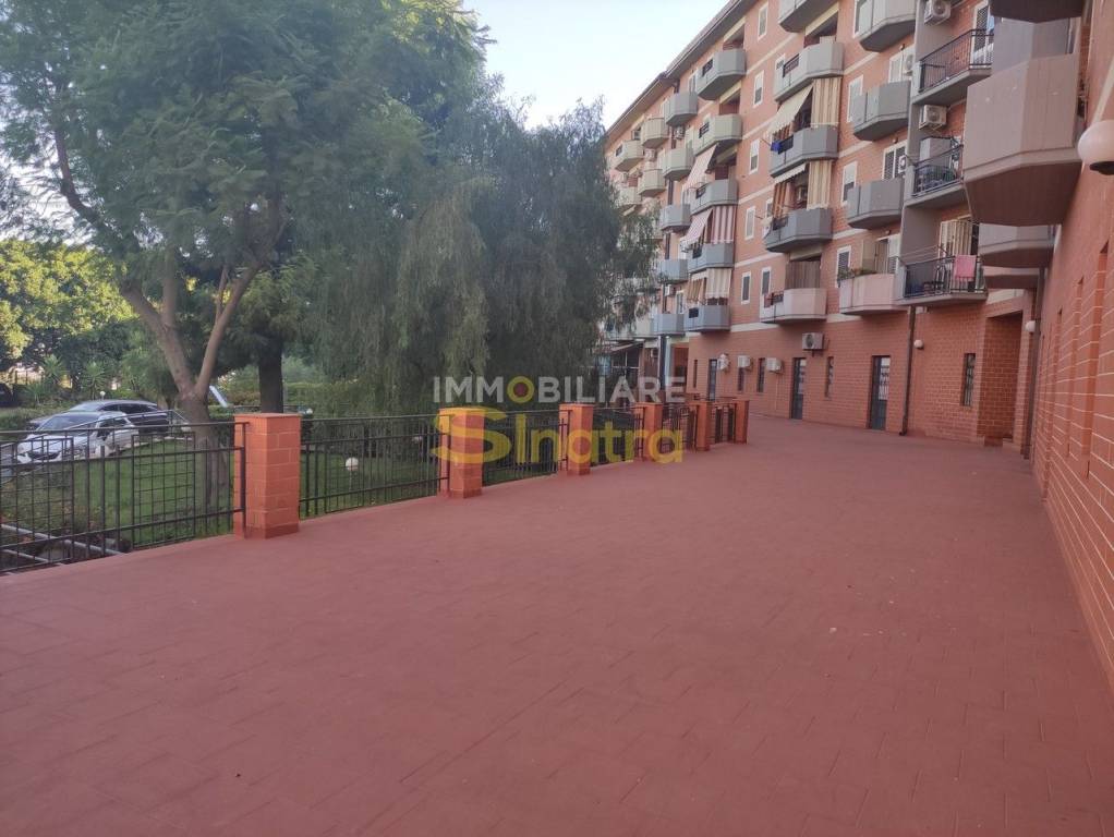 immagine annuncio 6 di 13
