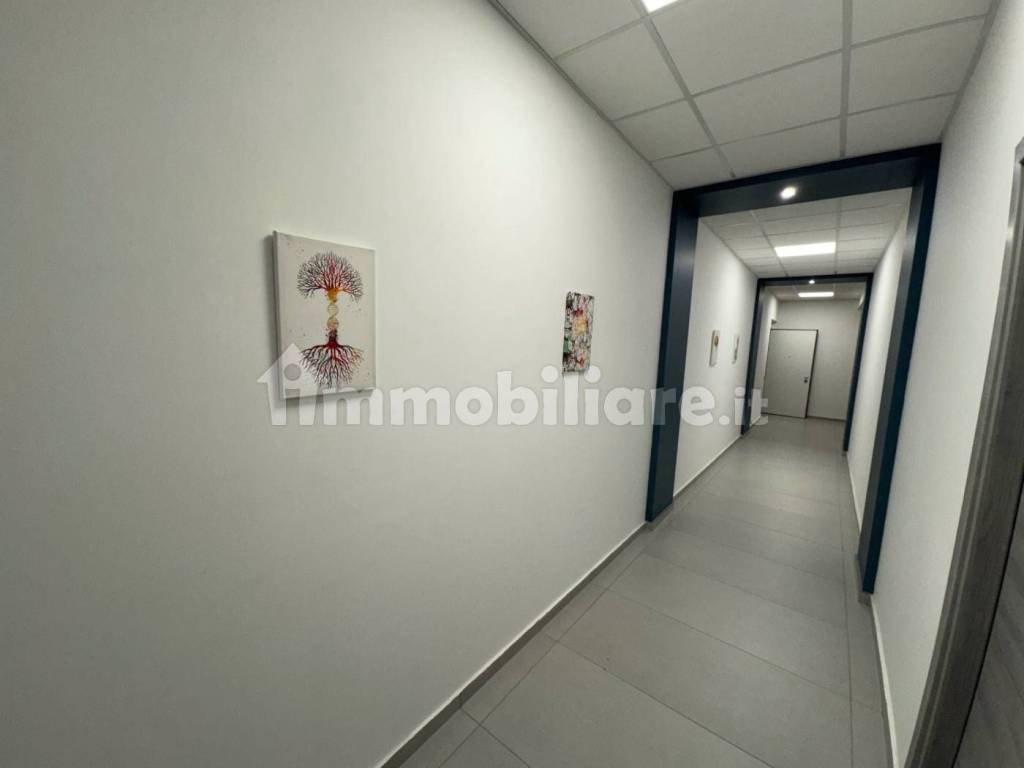 immagine annuncio 4 di 7