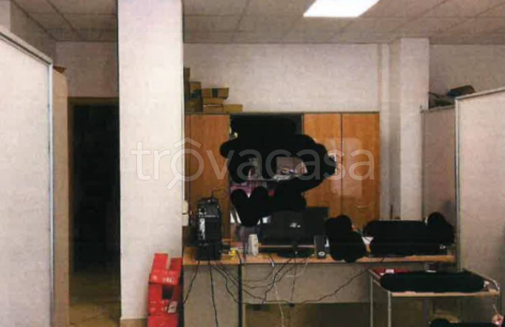 immagine annuncio 3 di 12