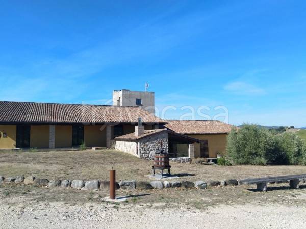 immagine annuncio 4 di 9