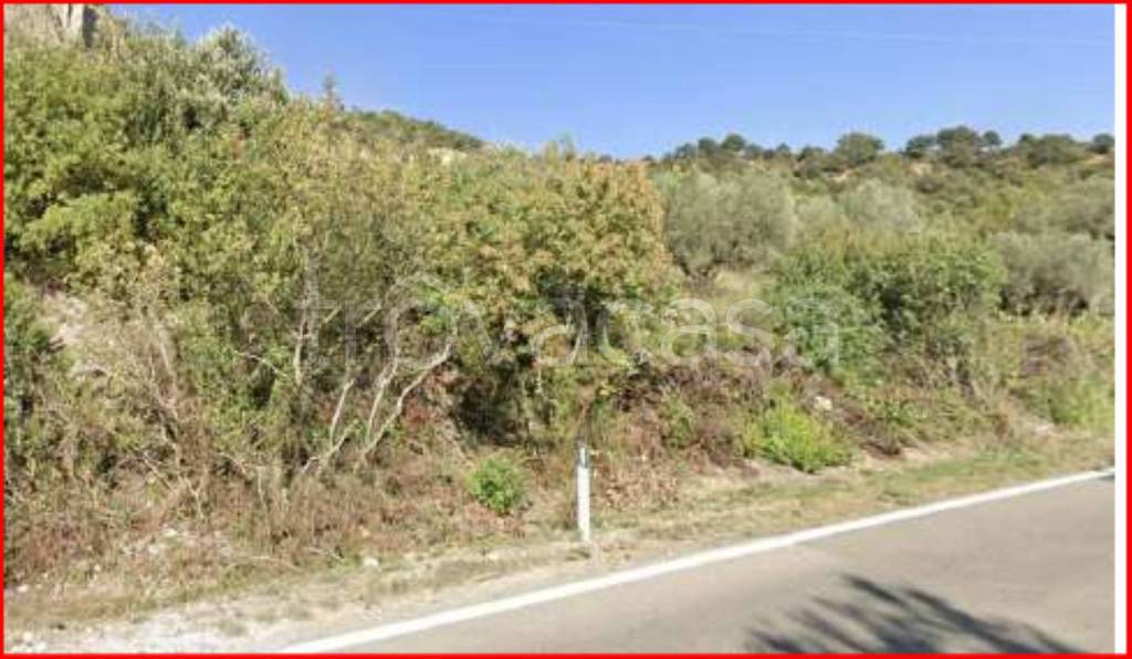 immagine annuncio 6 di 11