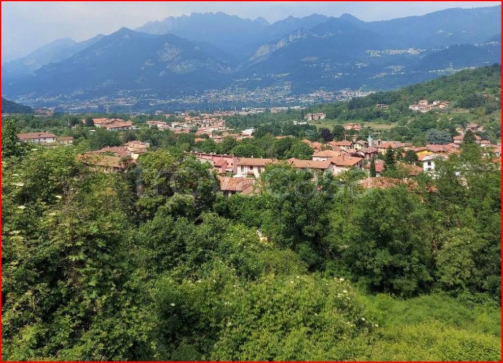 immagine annuncio 5 di 11