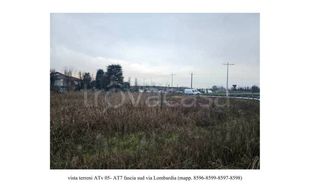 immagine annuncio 5 di 9