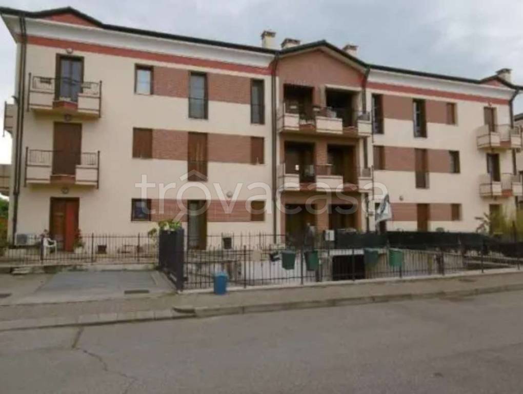 immagine annuncio 1 di 14