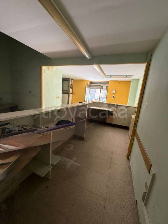 immagine annuncio 2 di 7