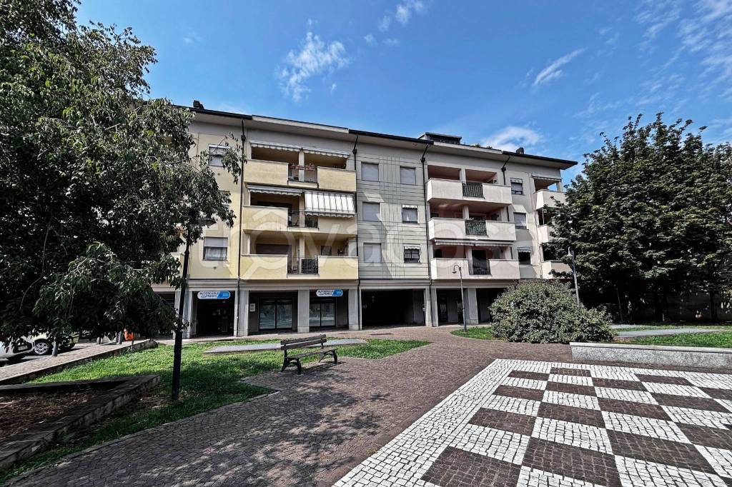 immagine annuncio 1 di 15