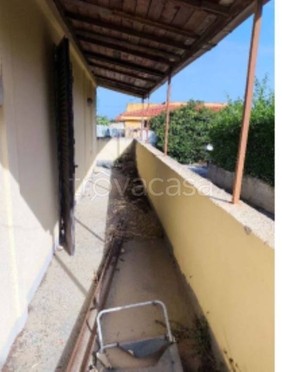 immagine annuncio 3 di 11