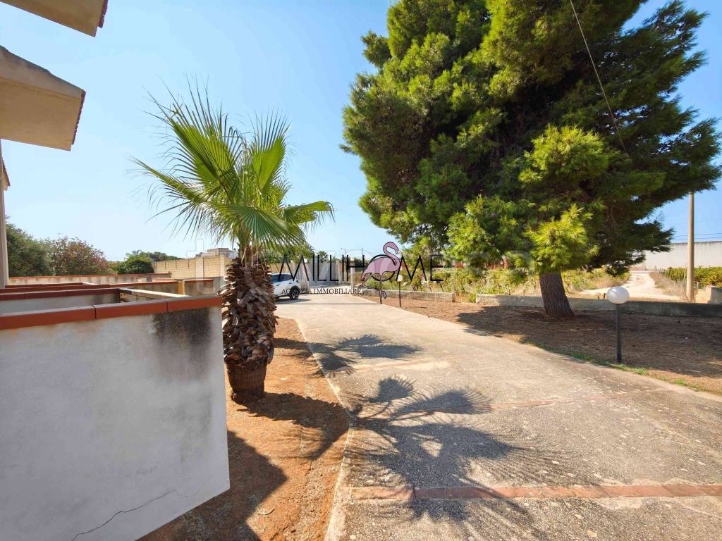 immagine annuncio 12 di 13