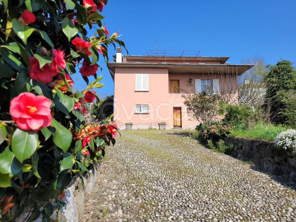 immagine annuncio 11 di 14