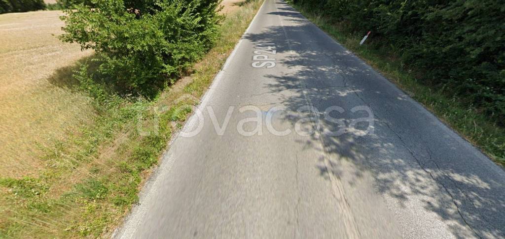 immagine annuncio 9 di 11