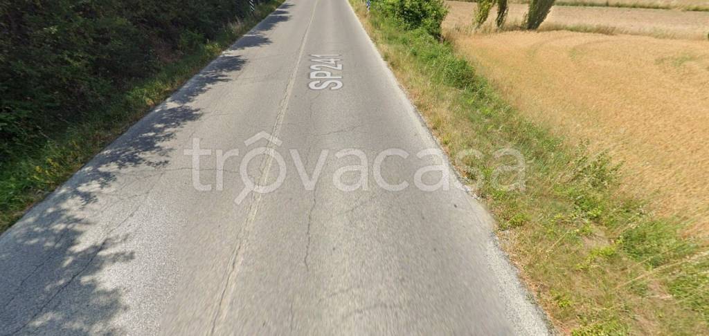 immagine annuncio 10 di 11