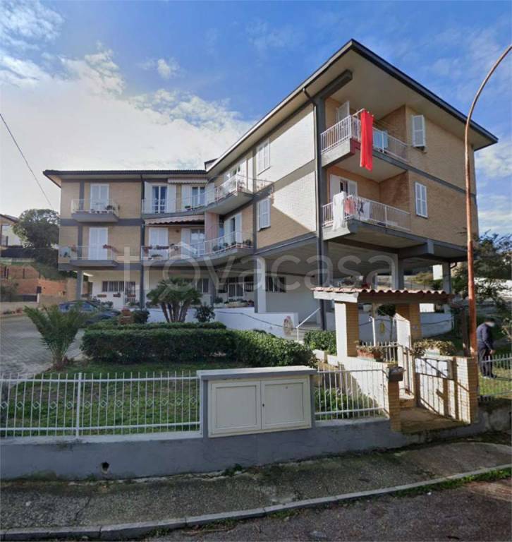 immagine annuncio 12 di 14