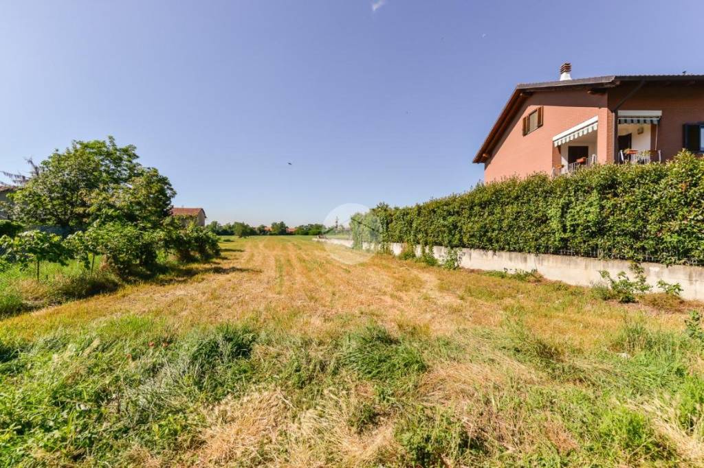 immagine annuncio 4 di 8