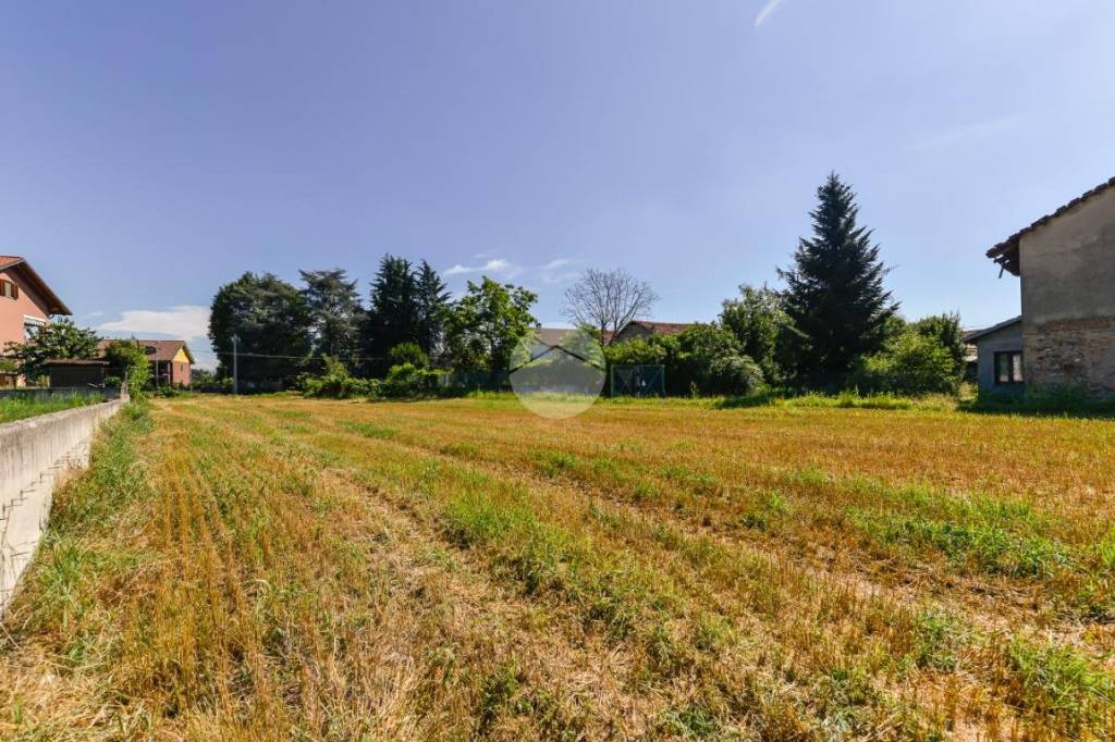 immagine annuncio 5 di 8