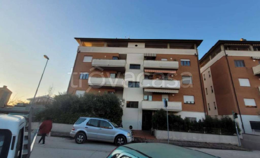 immagine annuncio 9 di 12