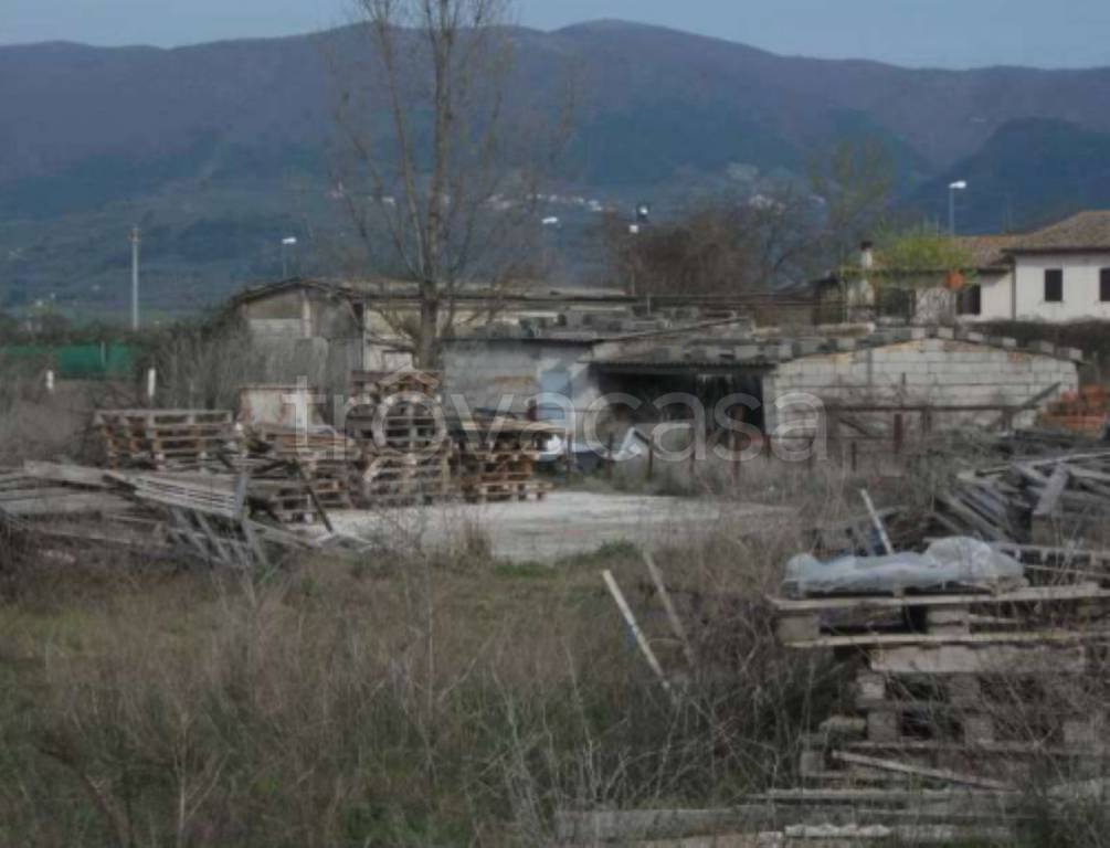 immagine annuncio 9 di 12