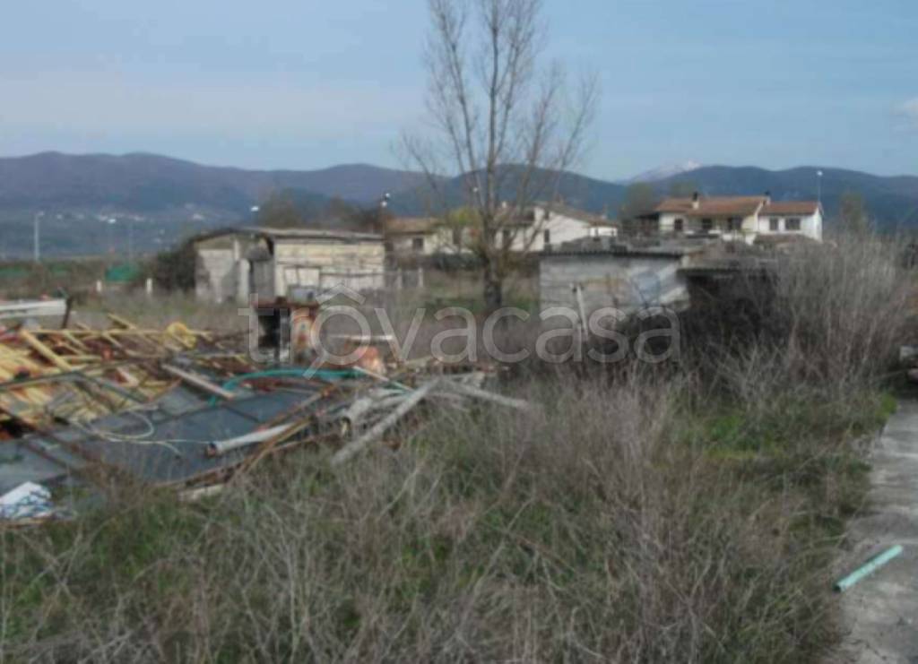 immagine annuncio 10 di 12