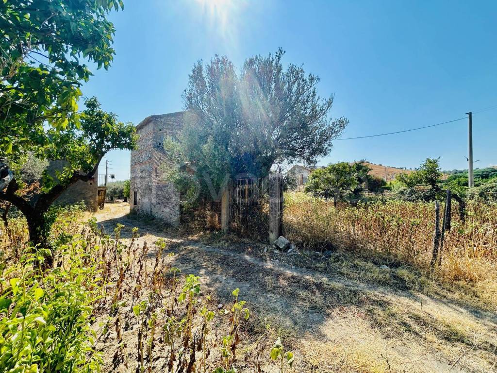 immagine annuncio 2 di 8