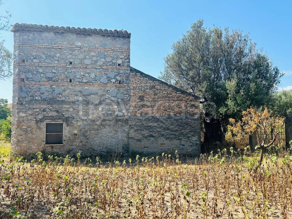 immagine annuncio 5 di 8