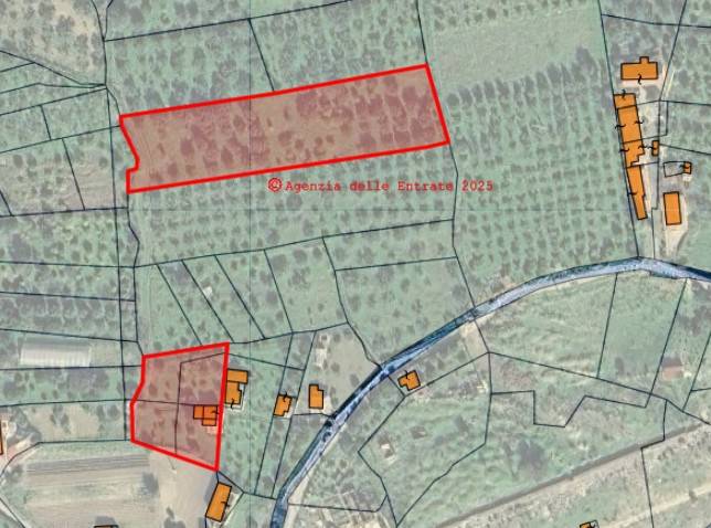 immagine annuncio 7 di 8